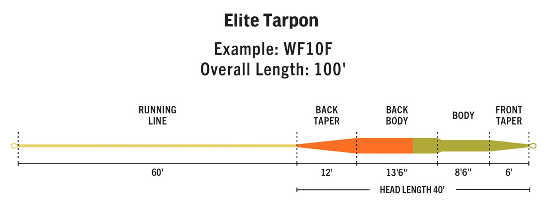 Rio_Elite_Tarpon_3