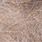 23 march brown