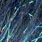 dark peacock