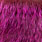 grizzly pink