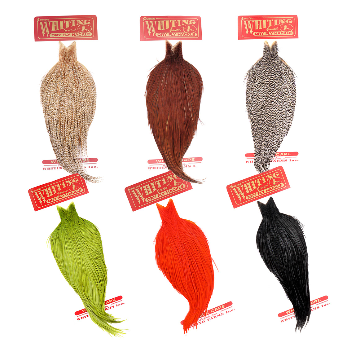 P-29042_Whiting-Commercial-Cape Whiting Commercial Cape