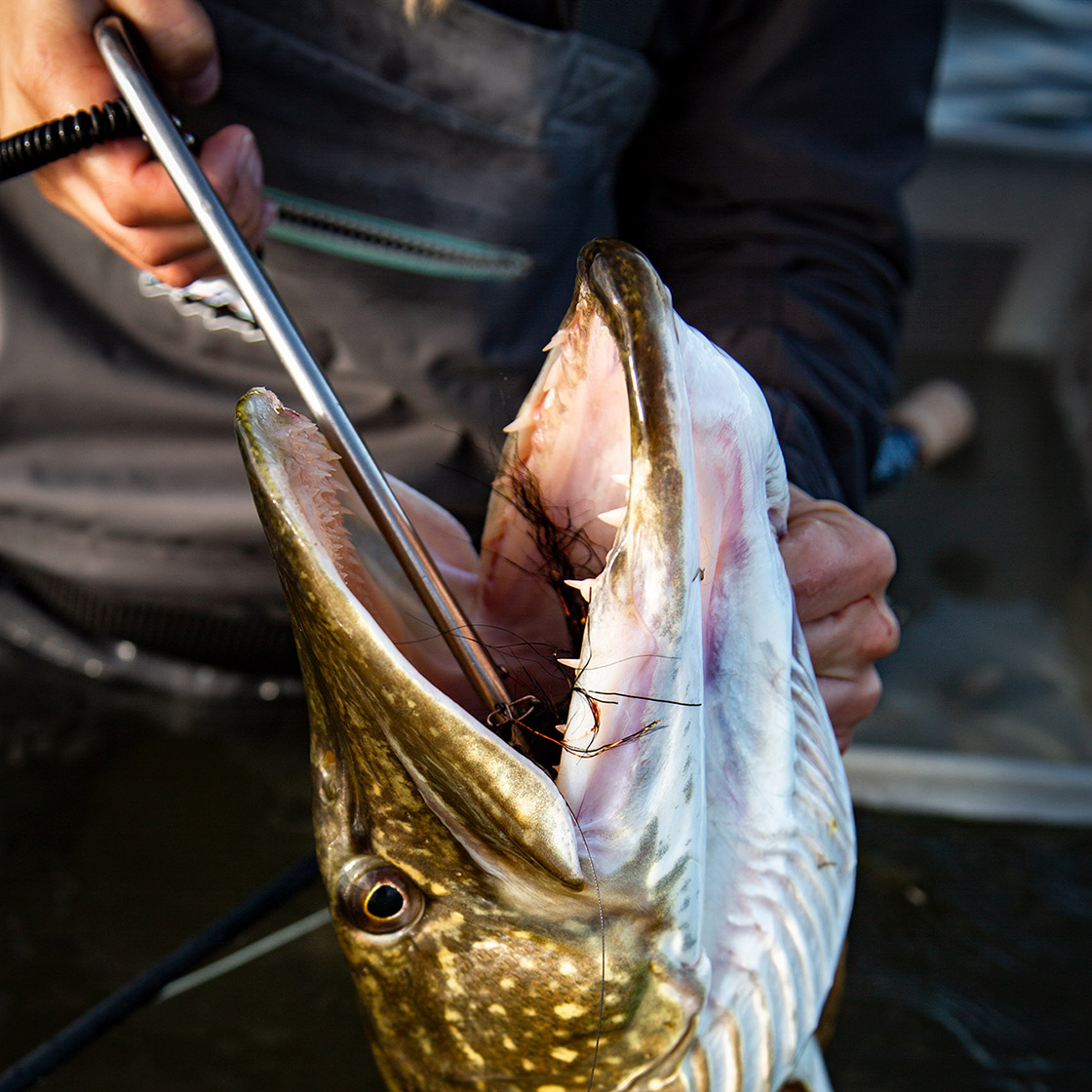 Hook_out_Release_Tool_Hecht_Losezange