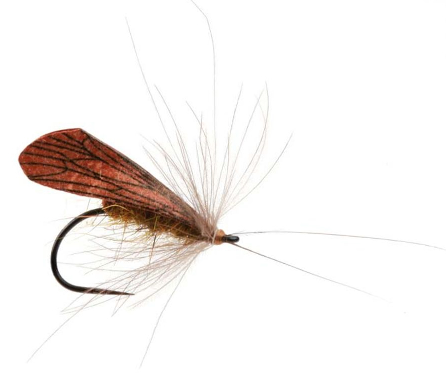 P-27708_Pro_Sportfisher_Caddis_Wings_2 Bindebeispiel