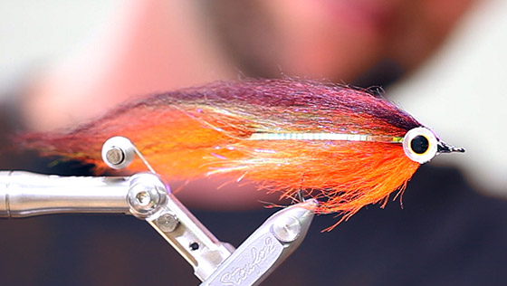 Fly Tying Video: Pike Runner Streamer