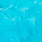 silver doctor blue