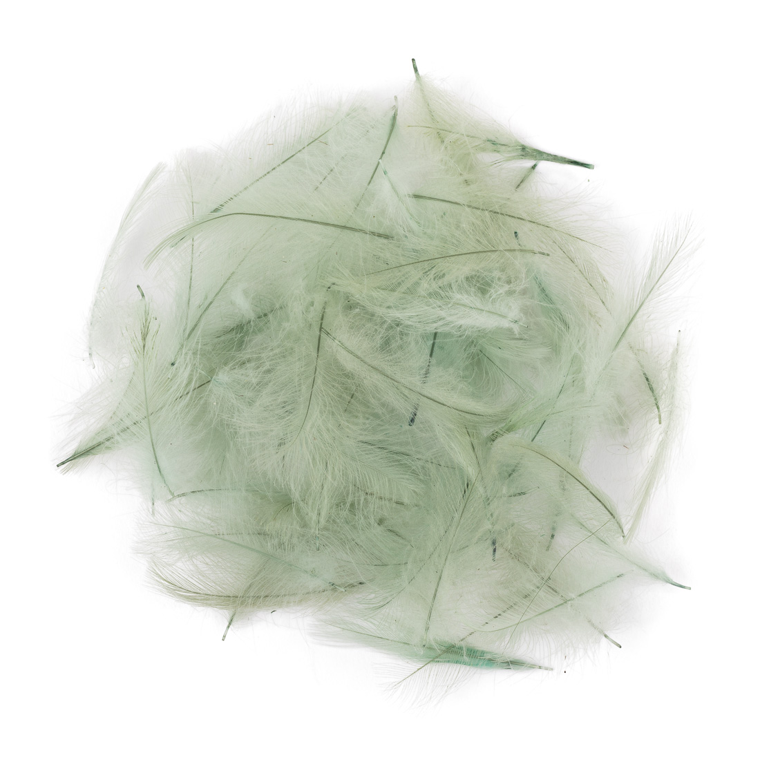 swiss_cdc_feathers_ultra_select_xl_17_olive_blue_dun 17 olive blue dun