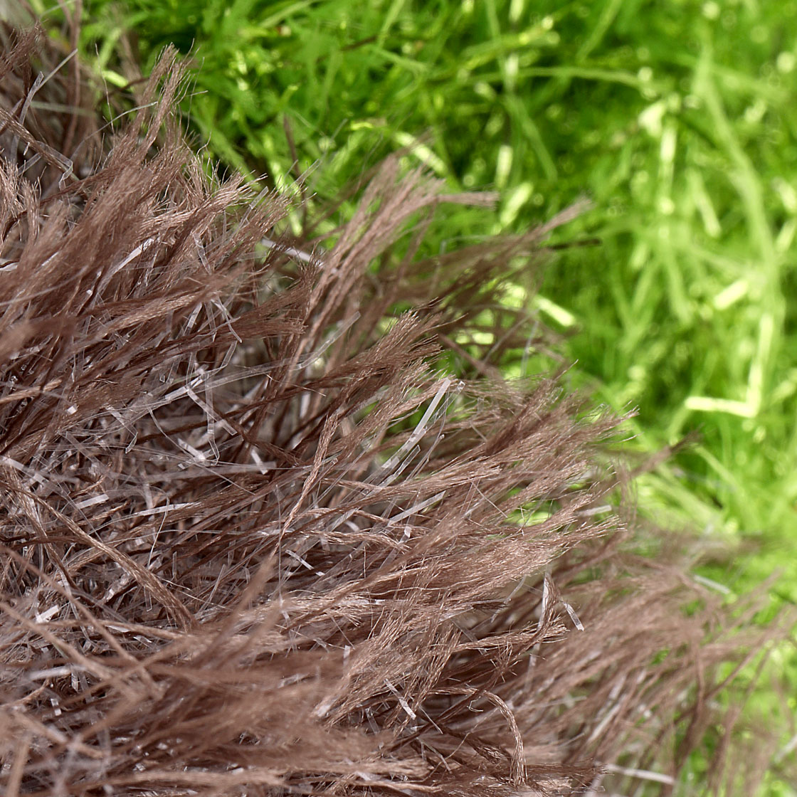 P-17593_semperfli_extreme_string_40mm_detail2