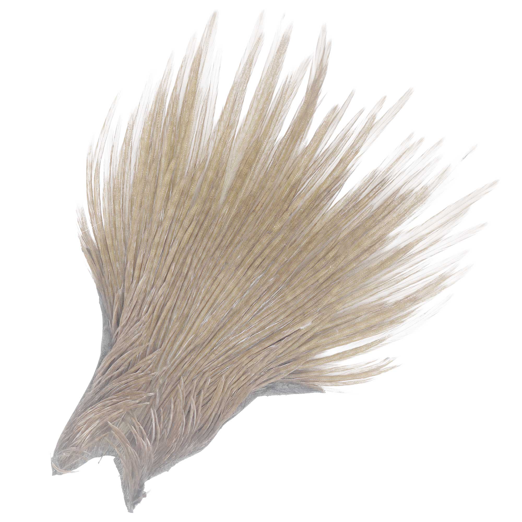 Wapsi Ewing Neck Tip Premium Qualtiy