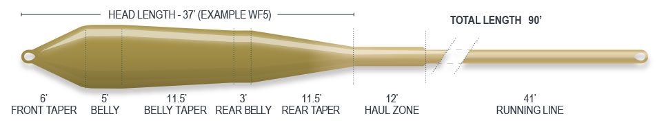 P-28945_Airflo_Ridge_2-0_Superflo_Power_Taper_Trout_Floating_Fliegenshop_Camo_Green_Caddis_3