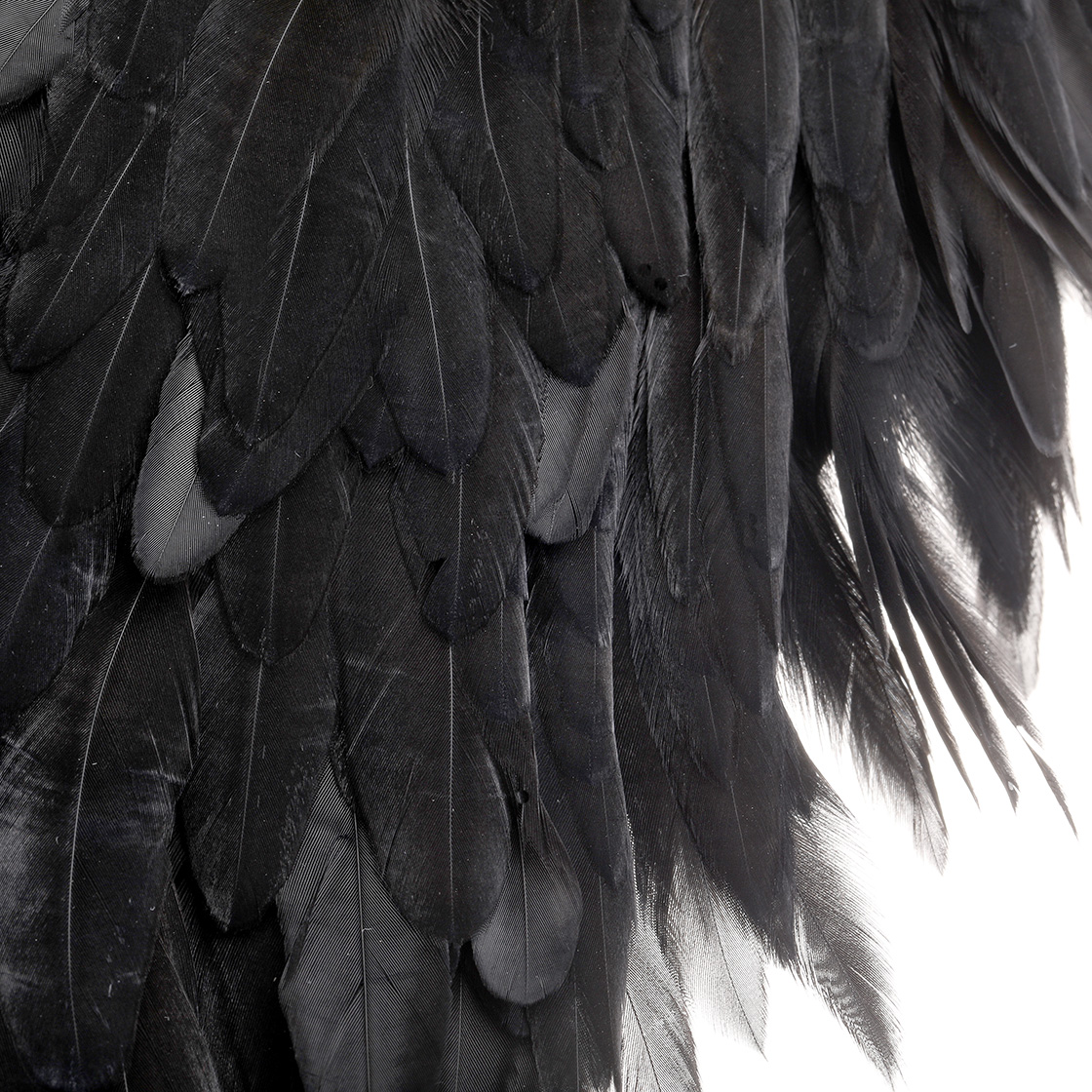 P-29039_Whiting-Hen-Saddle-Black_detail