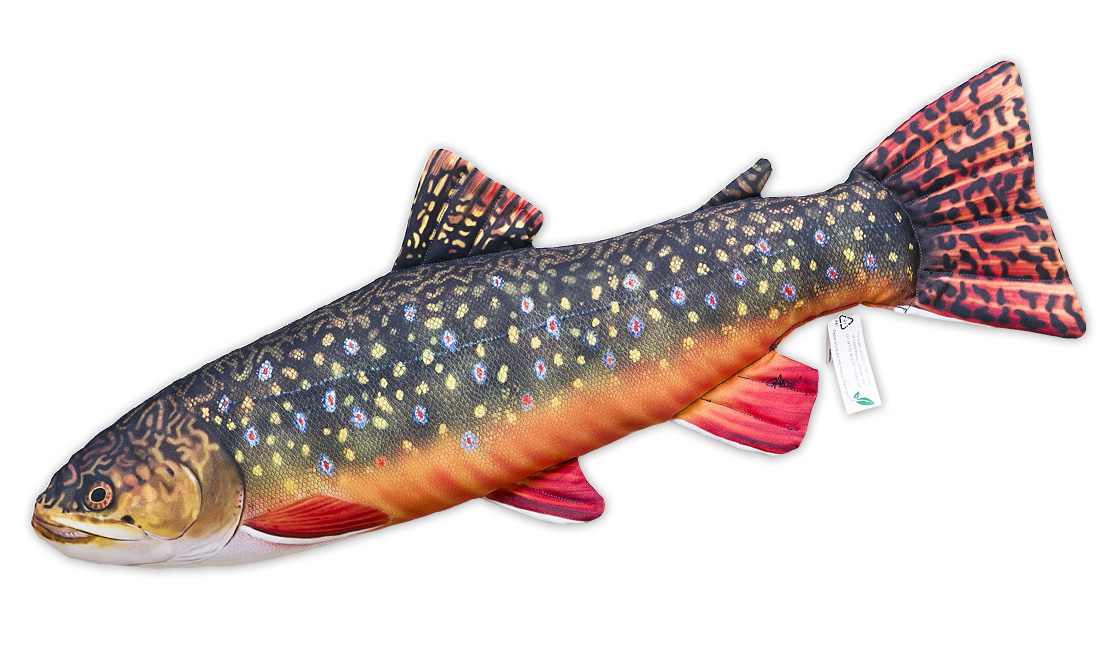 Fischkissen_Kuscheltier_Saibling_ganz Fish Pillow Soft Toy Brook Trout 62cm