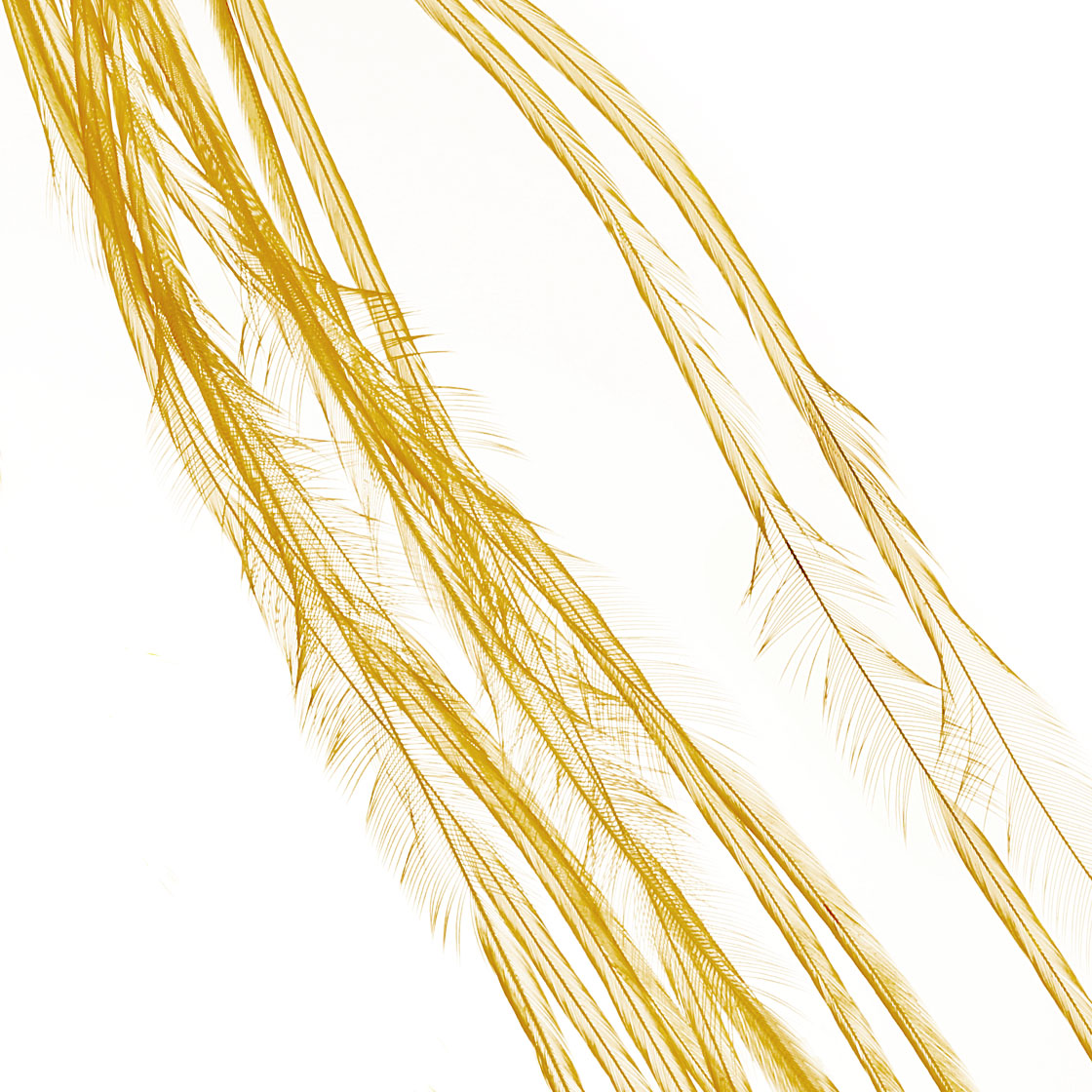 white dyed golden straw