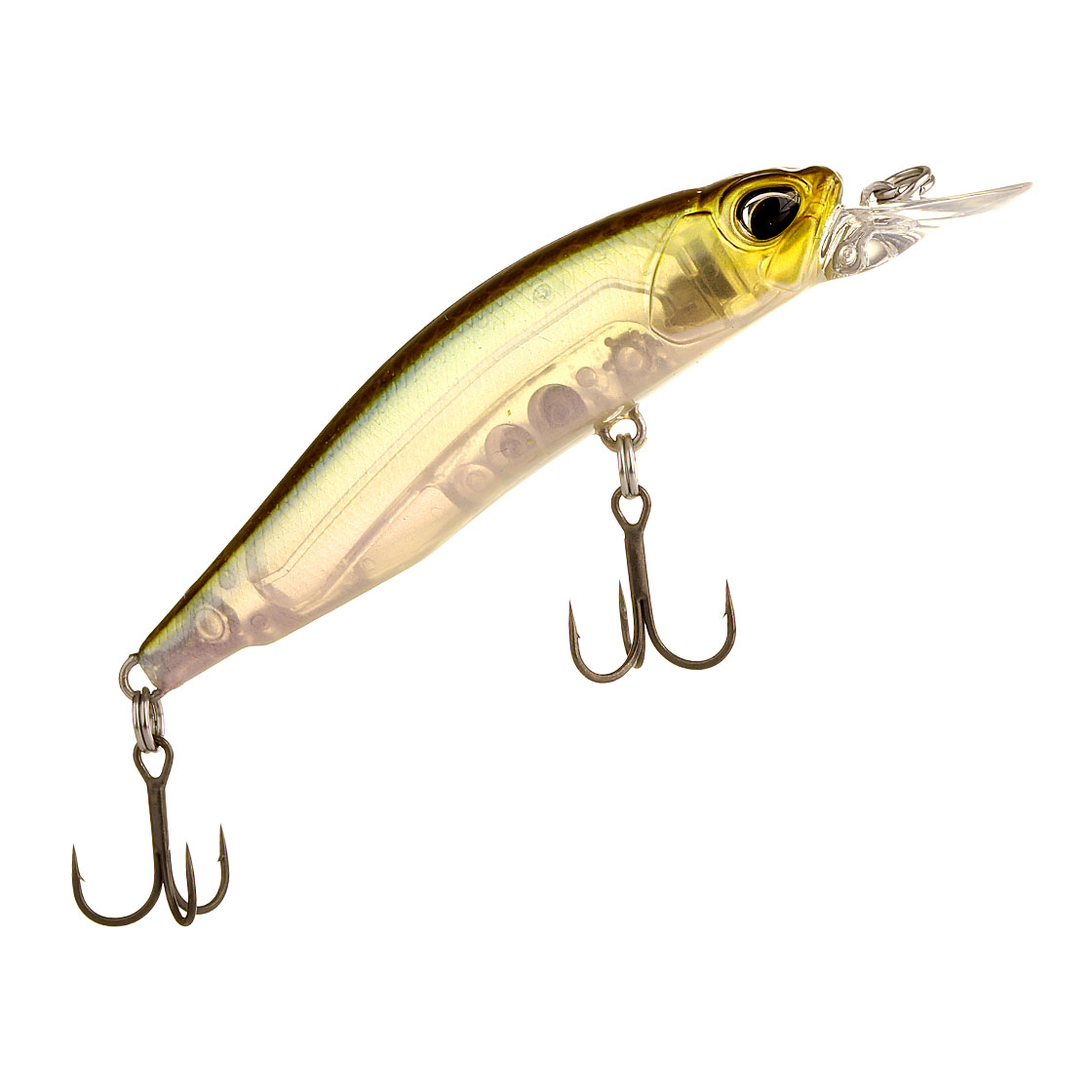 Ghost Minnow