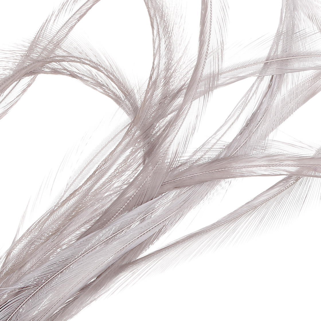 Whiting 100 Pack MFC - Light Dun Whiting 100 Pack MFC - Light Dun