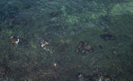 How to catch Sea Trout in the summer