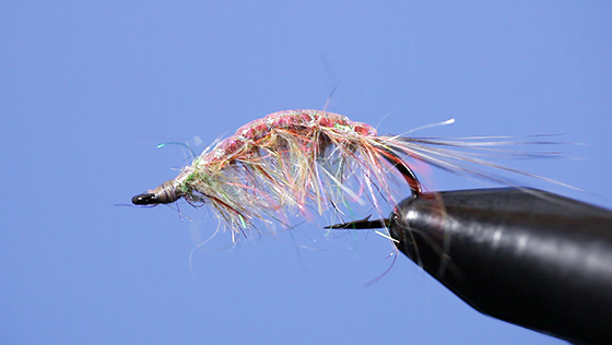 Tom Jansen: Bindevideo eines Tangläufers Tom Jansen: Fly tying Video Tangloppe