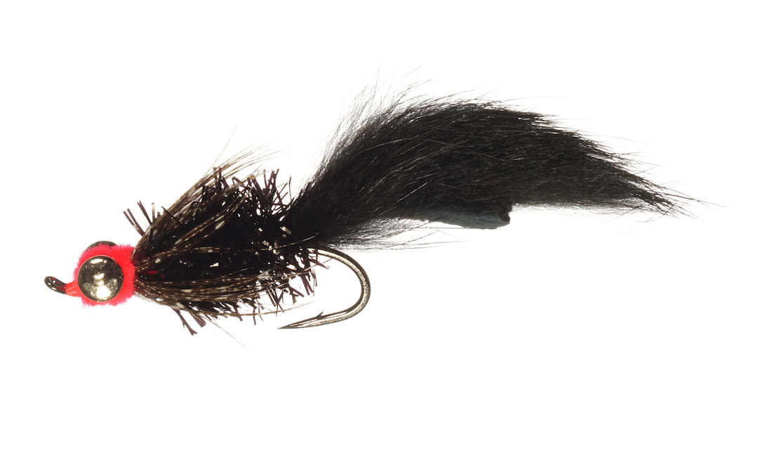 Rainys Black Cat Fat Leech