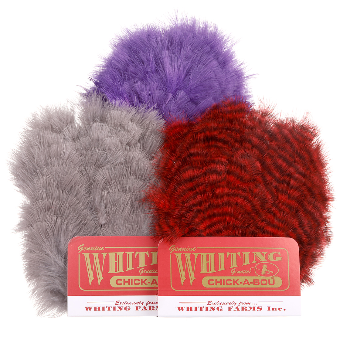 P-29038_Whiting-Chickabou-Patch_titel Whiting Chickabou Patch