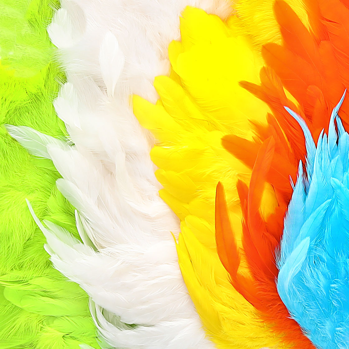 P-25379_Whiting-American-Hen-SH-C_ Whiting American Hen SH/C