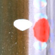 sandeel ghost