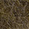 gray olive