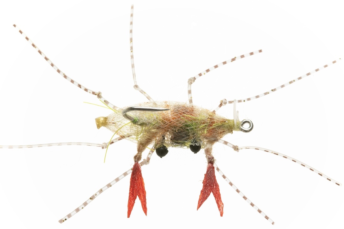 P-28686_Enrico_Puglisi_EP-R-_SOFT_SHELL_CRAB-TAN-ORANGE_EGG Enrico Puglisi EP® SOFT SHELL CRAB - TAN - ORANGE EGG