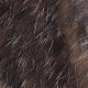 grizzly black barred