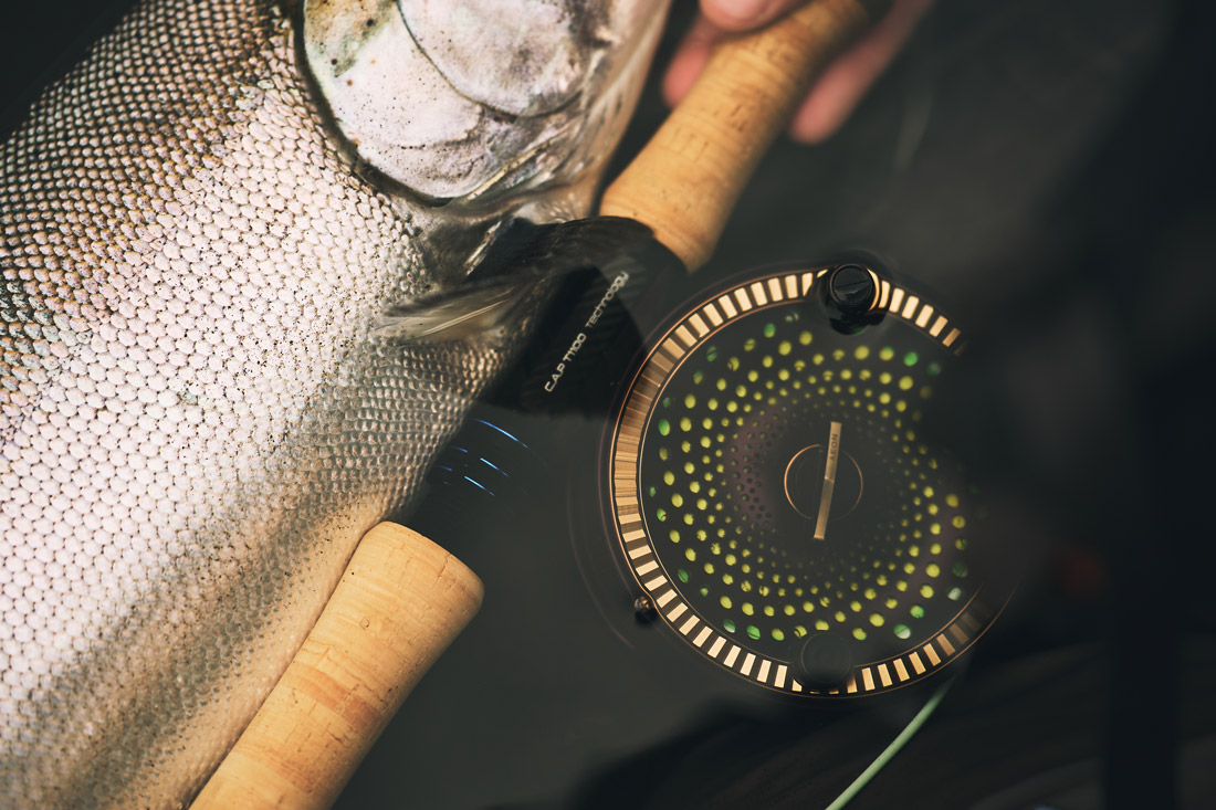 Guideline_AEON_Lifestyle_gold_4