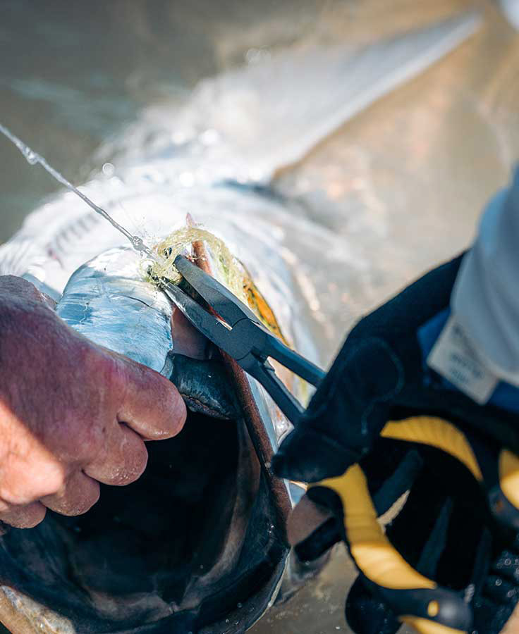 P-23219_Loon_Apex_Needle_Nose_Plier_Losezange_1