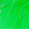 fluo green