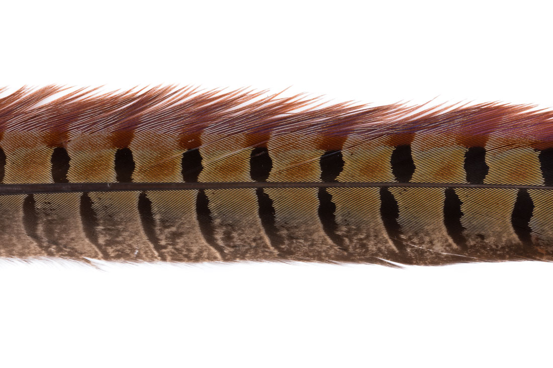 spirit-river-uv2-pheasant-tail-natural-rpht-012 natural