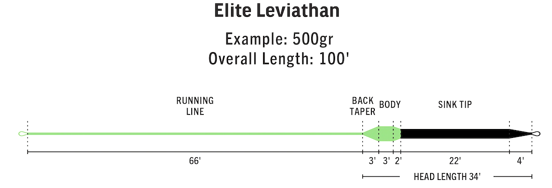 P-24123_Rio_Elite_Leviathan_Fliegenschnur_2