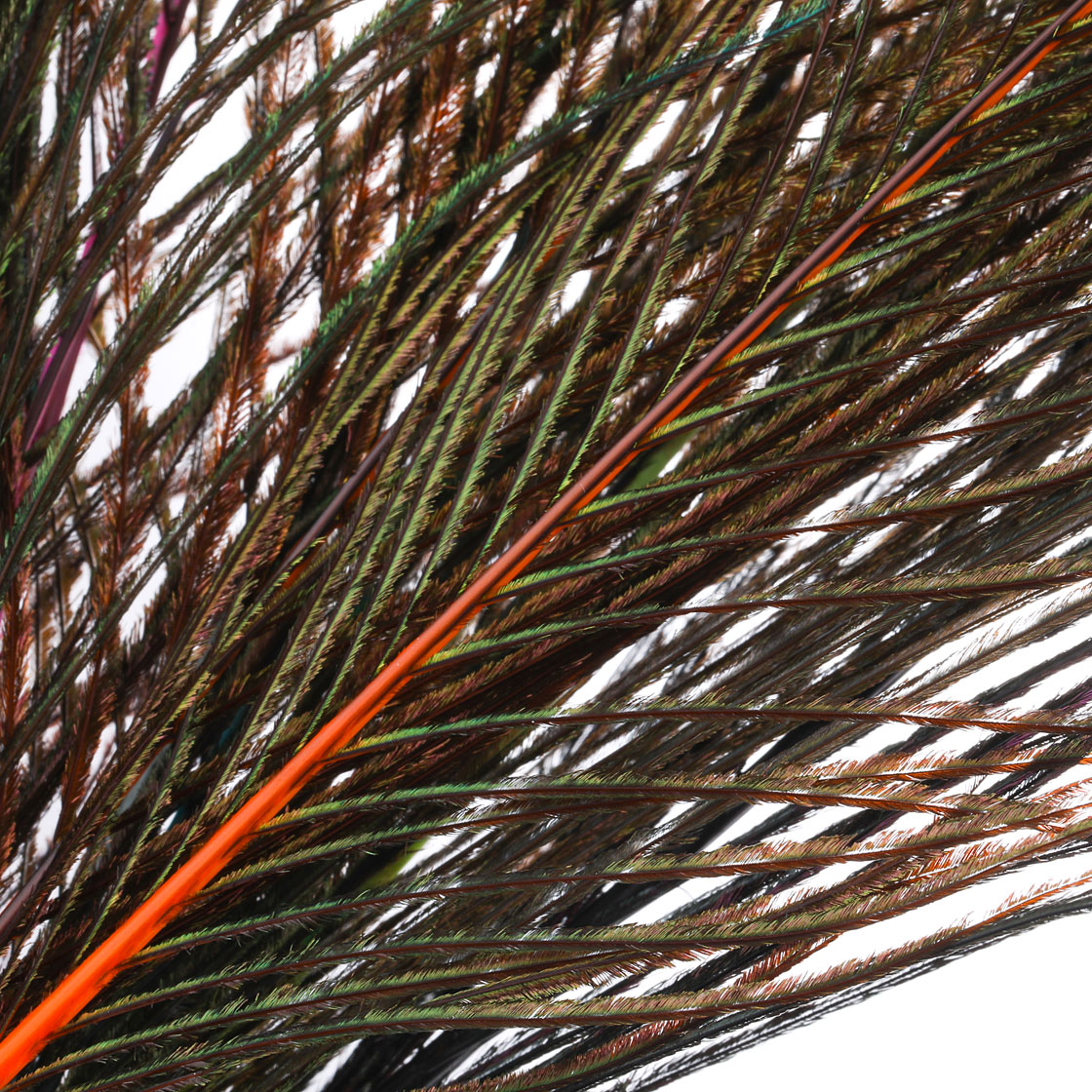 P-26627_Frodin-Flies-SNS-Peacock-Eye-Feathers-Pfauenaugen-Federn_detail-1