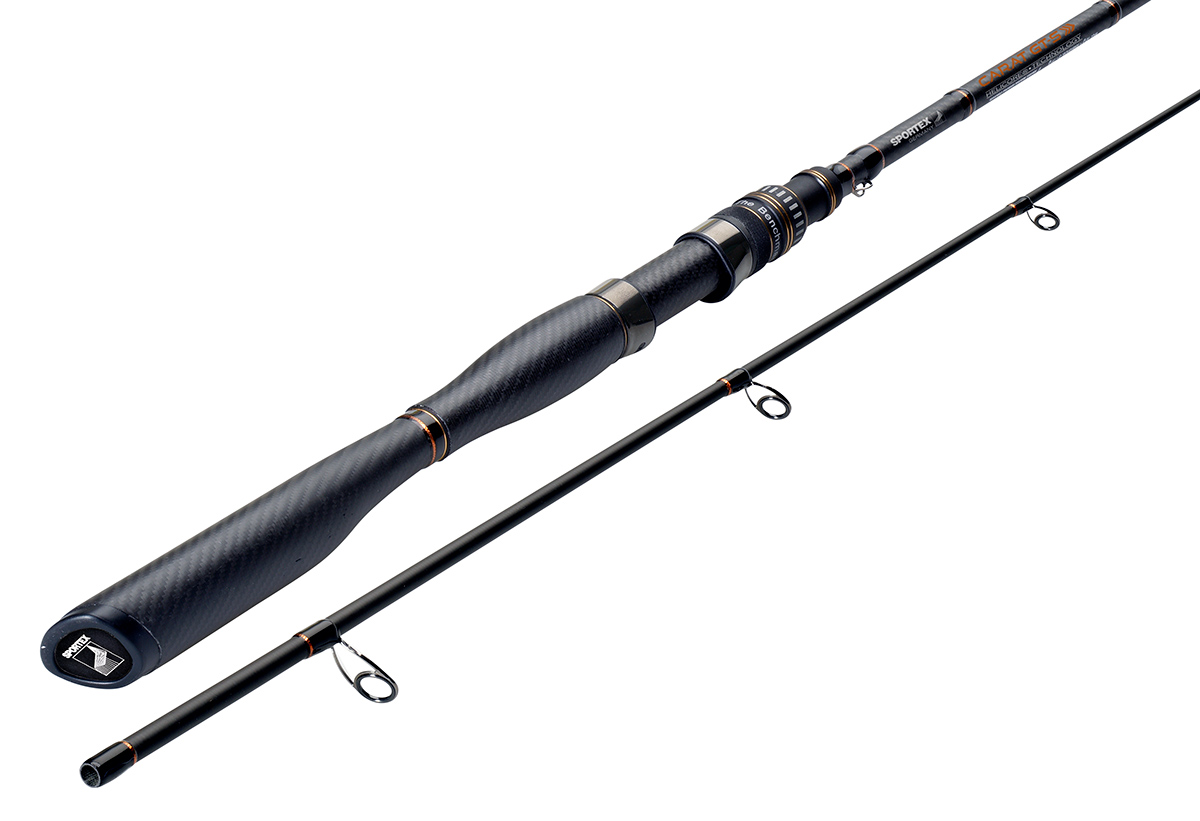 Sportex_Carat_GT-S_Spin_2