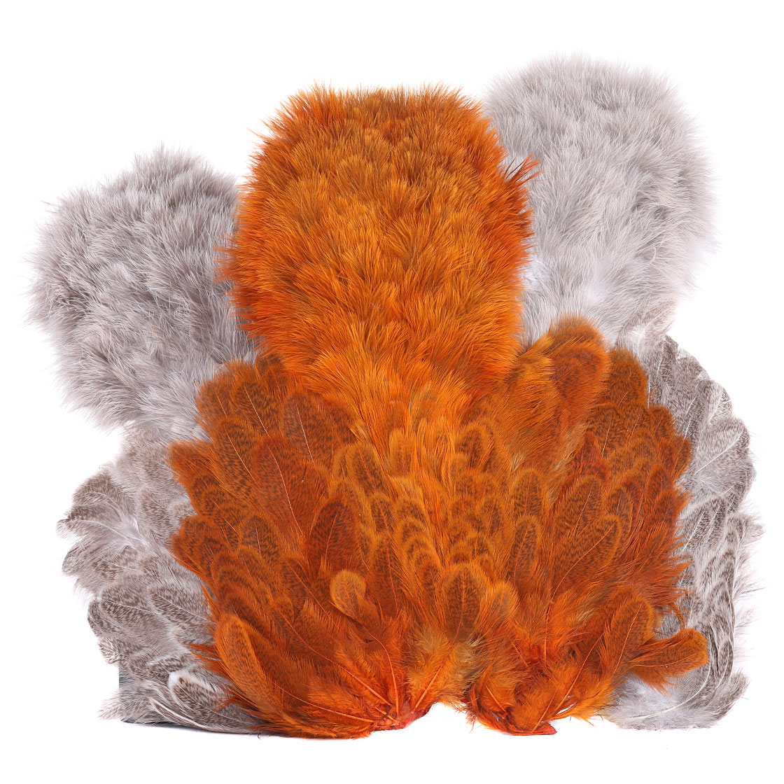 P-25385_Whiting-Brahma-Hen-SH_C_titel Whiting Brahma Hen SH/C