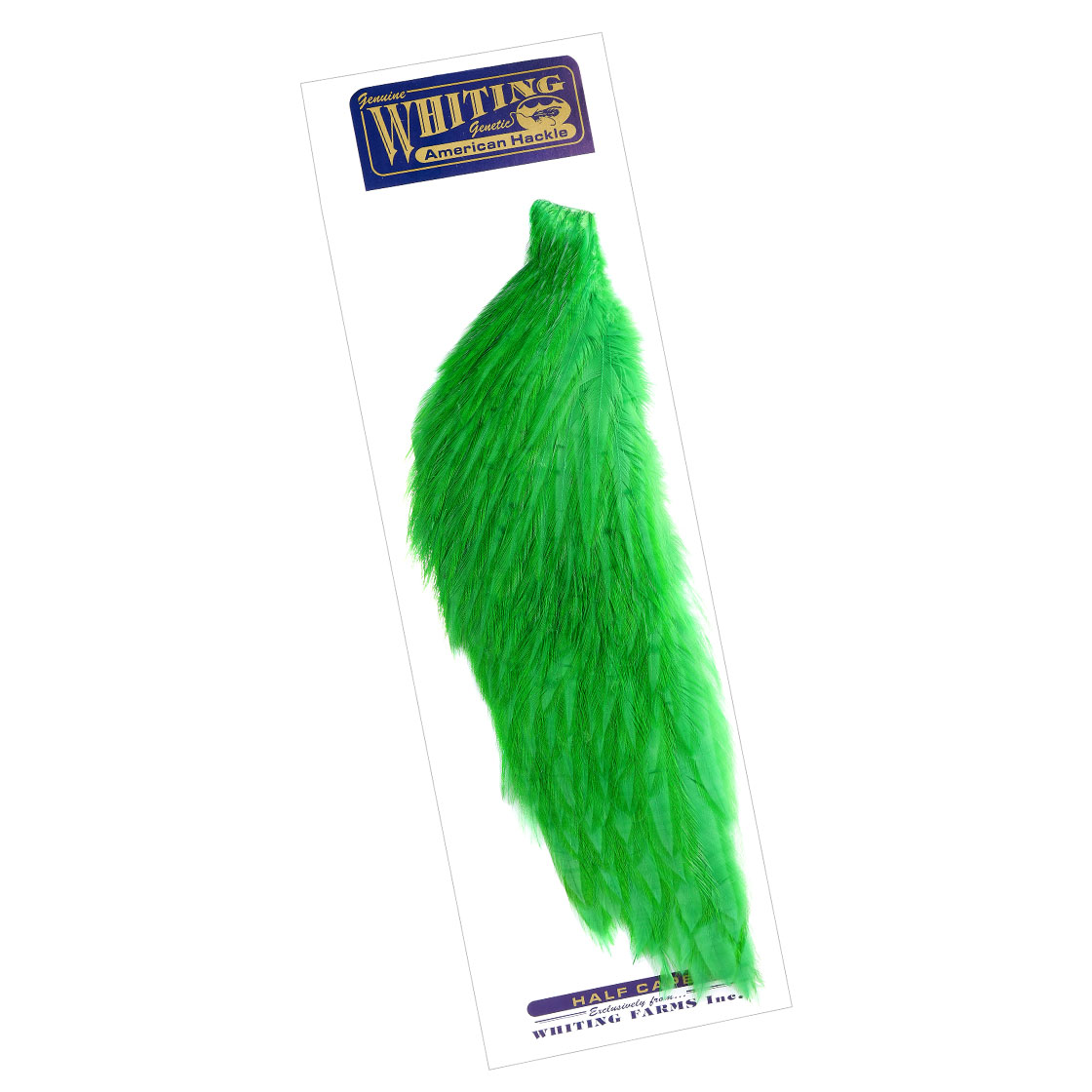 green highlander