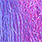 hot pink / purple back