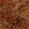 pheasant tail