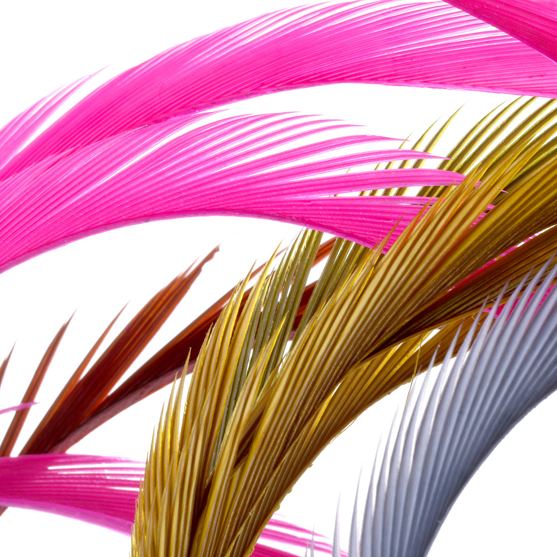 P-11650_Veniard-Ga-nse-Goose-Biots_