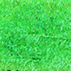 fluorescent chartreuse