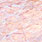 minnow mix