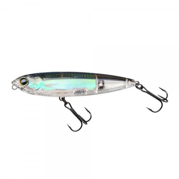 Real Gizzard Shad