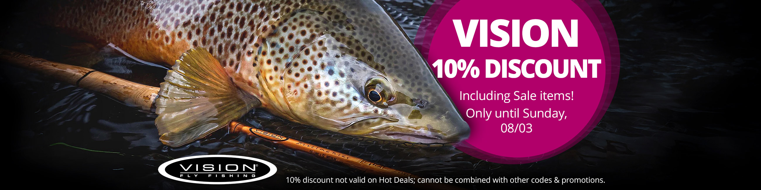 10% off Vision -including Sale items- until 8/3