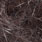 dark mottled