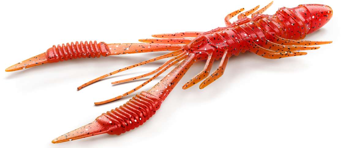 P-21588_Nays_CRTR_C08 C-08