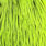 silver badger fl. green chartreuse