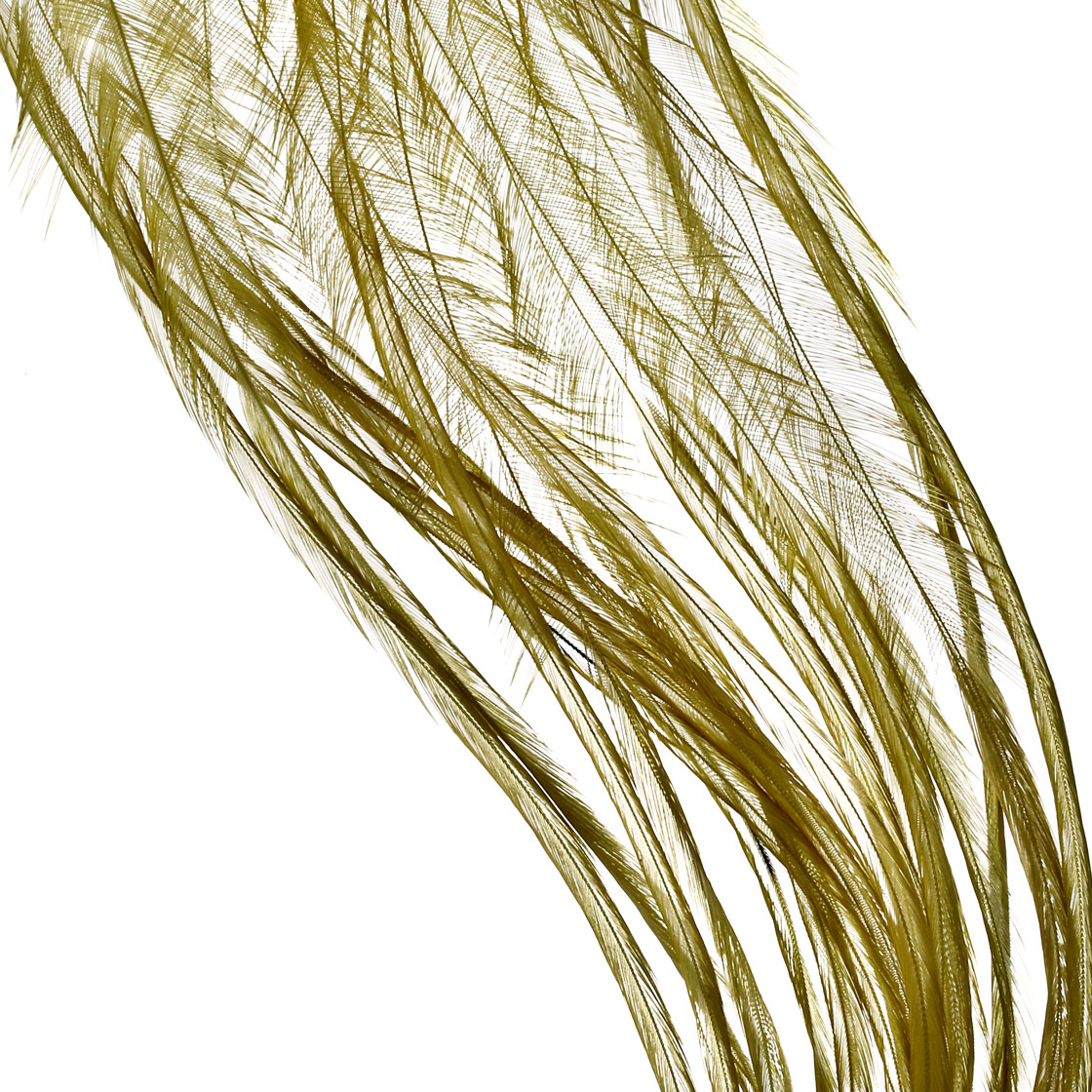 P-25409-11_Whiting-100-Pk-Size-12_white-dyed-dark-olive white dyed dark olive