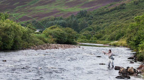 Fly Fishing for Atlantic Salmon – a Compact Guide for Beginners
