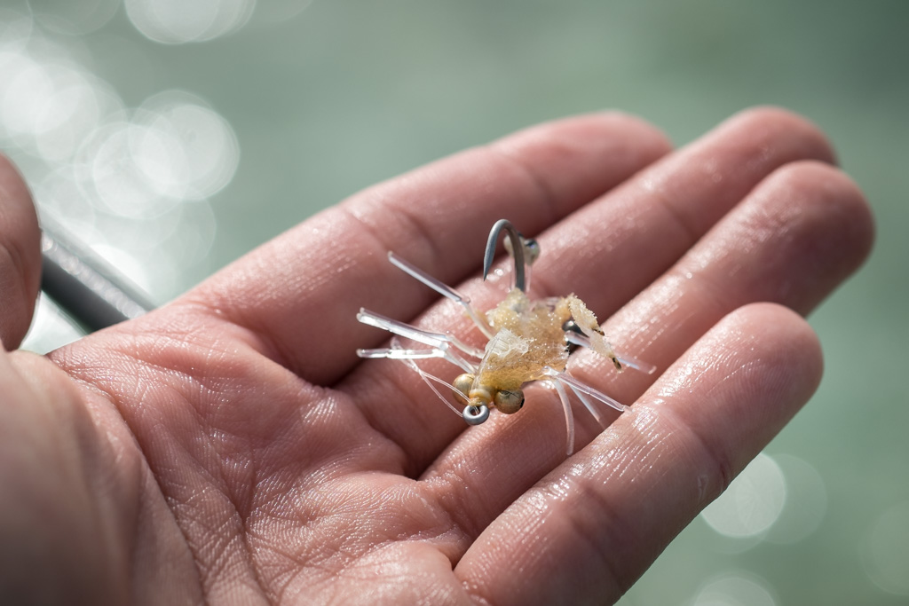 sudan2015-12 - Fliegenfischen auf den Nubischen Flats