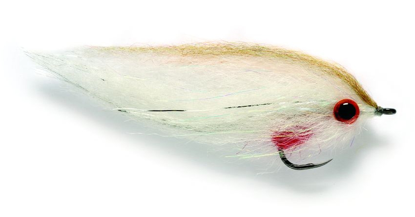 fulling_mill_dougies_baitfish_roach Bindebeispiel